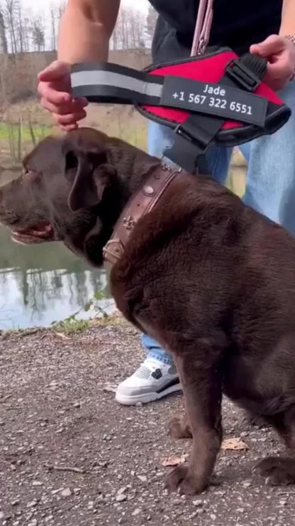 Reflective No-Pull Dog Harness