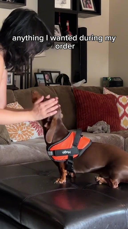 Reflective No-Pull Dog Harness