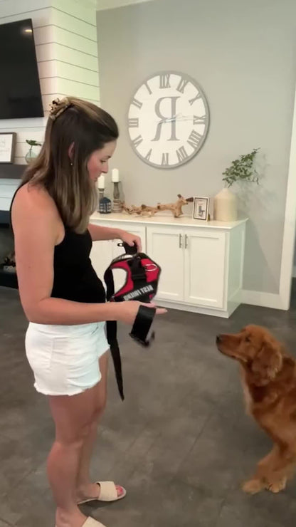 Reflective No-Pull Dog Harness