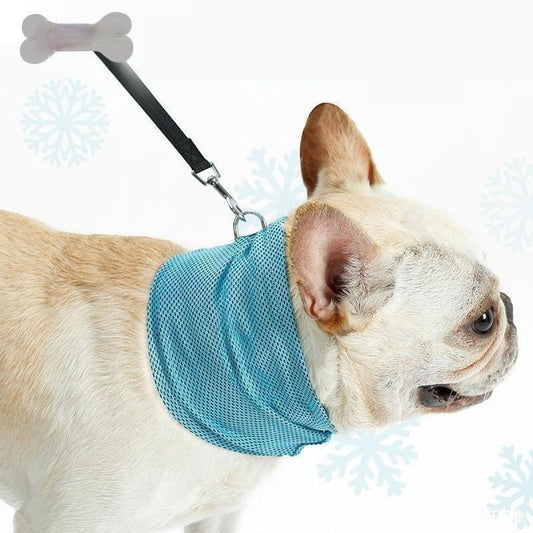Cool Kelpie Instant Cooling Bandana (2-Pack)