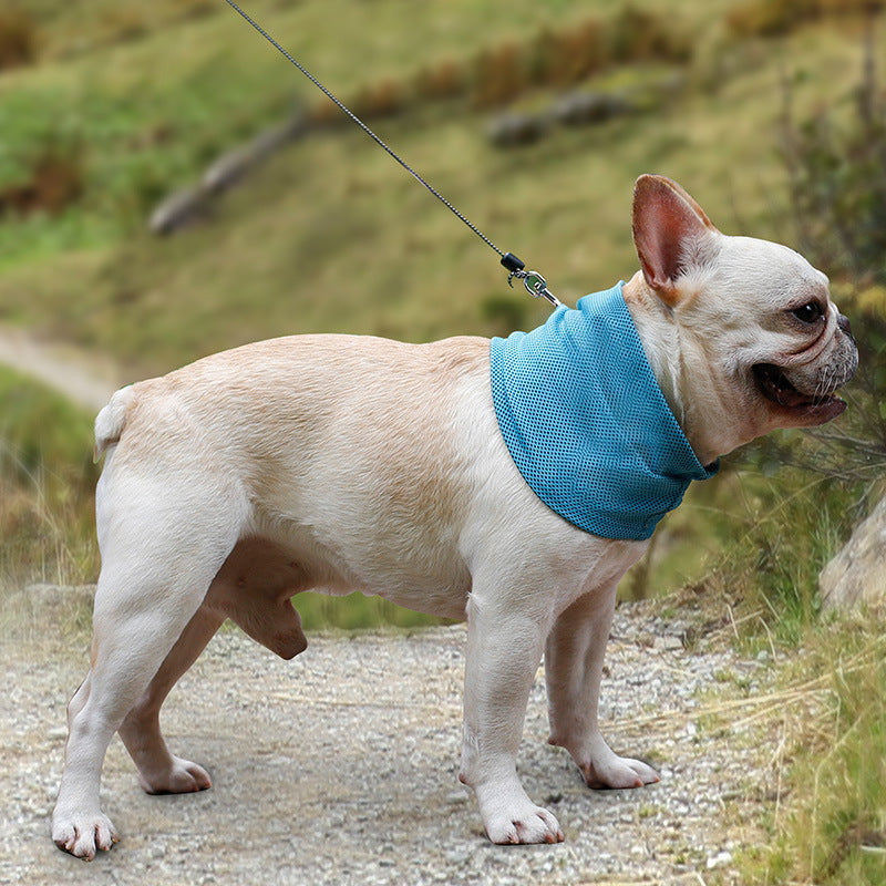 Cool Kelpie Instant Cooling Bandana (2-Pack)